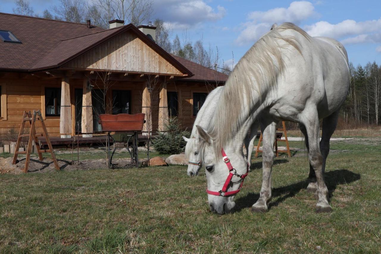 Chata Pod Świnią Górą Blizyn Exterior foto
